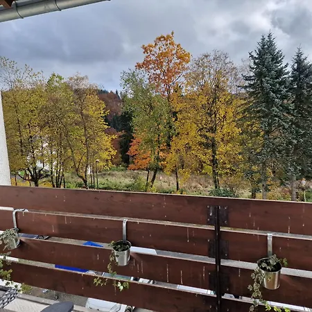 Sonnenhang 아파트 메데바흐