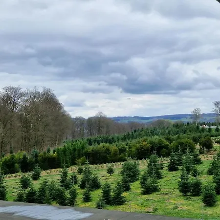 Sonnenhang 아파트 *